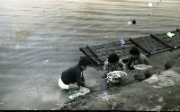 藏品(1950至2006年臺灣常民生活)的圖片