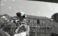 藏品(1950至2006年臺灣常民生活)的圖片