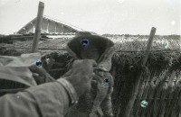 藏品(1950至2006年臺灣常民生活)的圖片