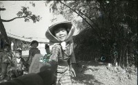 藏品(1950至2006年臺灣常民生活)的圖片