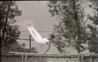 藏品(1950至2006年臺灣常民生活)的圖片