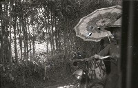 藏品(1950至2006年臺灣常民生活)的圖片