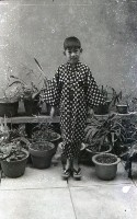 藏品(1950至2006年臺灣常民生活)的圖片