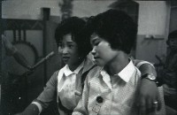 藏品(1950至2006年臺灣常民生活)的圖片