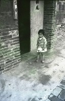 藏品(1950至2006年臺灣常民生活)的圖片