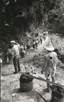 藏品(1950至2006年臺灣常民生活)的圖片