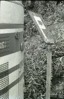 藏品(1950至2006年臺灣常民生活)的圖片