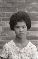 藏品(1950至2006年臺灣常民生活)的圖片