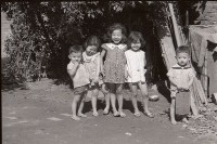 藏品(1950至2006年臺灣常民生活)的圖片