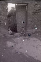 藏品(1950至2006年臺灣常民生活)的圖片