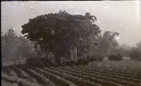 藏品(1950至2006年臺灣常民生活)的圖片