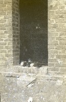 藏品(1950至2006年臺灣常民生活)的圖片