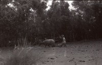 藏品(1950至2006年臺灣常民生活)的圖片