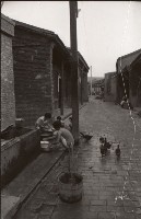 藏品(1950至2006年臺灣常民生活)的圖片