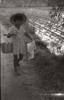 藏品(1950至2006年臺灣常民生活)的圖片