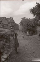 藏品(1950至2006年臺灣常民生活)的圖片