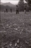 藏品(1950至2006年臺灣常民生活)的圖片