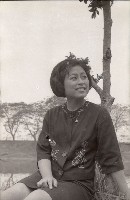 藏品(1950至2006年臺灣常民生活)的圖片