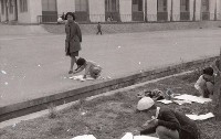 藏品(1950至2006年臺灣常民生活)的圖片