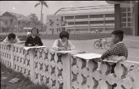 藏品(1950至2006年臺灣常民生活)的圖片