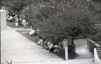 藏品(1950至2006年臺灣常民生活)的圖片