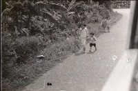 藏品(1950至2006年臺灣常民生活)的圖片