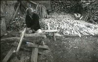 藏品(1950至2006年臺灣常民生活)的圖片