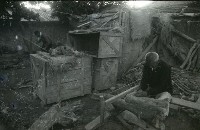 藏品(1950至2006年臺灣常民生活)的圖片