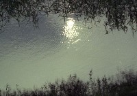 藏品(1950至2006年臺灣常民生活)的圖片