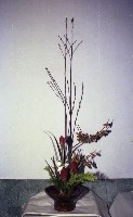 藏品(1950至2006年臺灣常民生活)的圖片