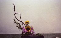 藏品(1950至2006年臺灣常民生活)的圖片
