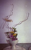 藏品(1950至2006年臺灣常民生活)的圖片