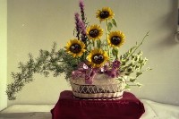 藏品(1950至2006年臺灣常民生活)的圖片