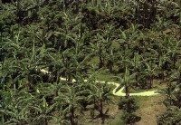 藏品(1950至2006年臺灣常民生活)的圖片