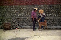 藏品(1950至2006年臺灣常民生活)的圖片