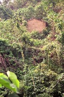 藏品(1950至2006年臺灣常民生活)的圖片