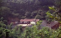 藏品(1950至2006年臺灣常民生活)的圖片