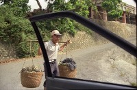 藏品(1950至2006年臺灣常民生活)的圖片