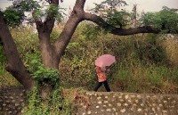 藏品(1950至2006年臺灣常民生活)的圖片