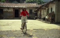 藏品(1950至2006年臺灣常民生活)的圖片