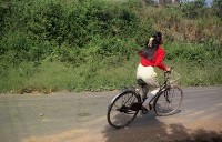 藏品(1950至2006年臺灣常民生活)的圖片