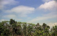 藏品(1950至2006年臺灣常民生活)的圖片