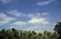 藏品(1950至2006年臺灣常民生活)的圖片