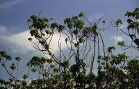 藏品(1950至2006年臺灣常民生活)的圖片