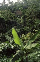 藏品(1950至2006年臺灣常民生活)的圖片