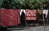 藏品(1950至2006年臺灣常民生活)的圖片