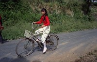 藏品(1950至2006年臺灣常民生活)的圖片