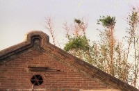 藏品(1950至2006年臺灣常民生活)的圖片