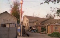 藏品(1950至2006年臺灣常民生活)的圖片