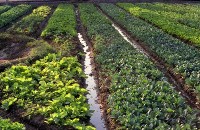 藏品(1950至2006年臺灣常民生活)的圖片